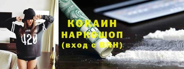 хмурый Арсеньев