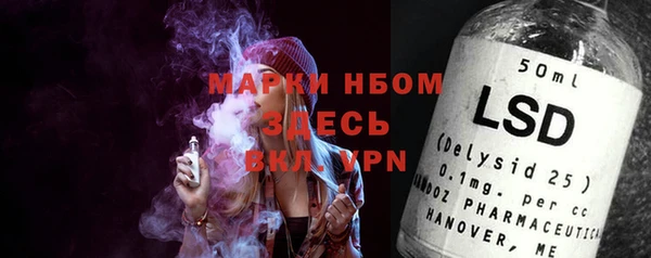 хмурый Арсеньев