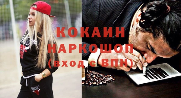 хмурый Арсеньев