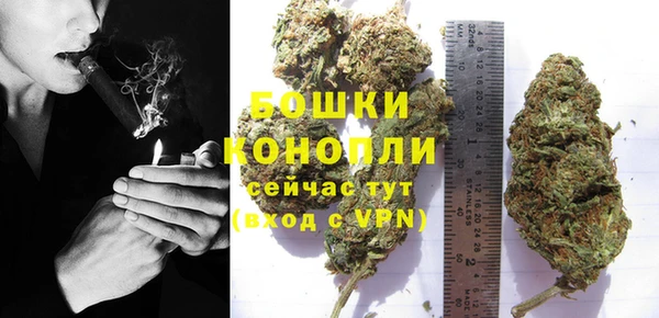 хмурый Арсеньев