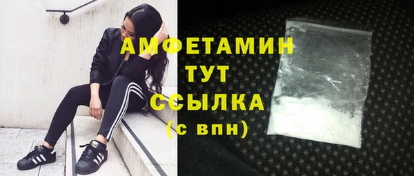 хмурый Арсеньев