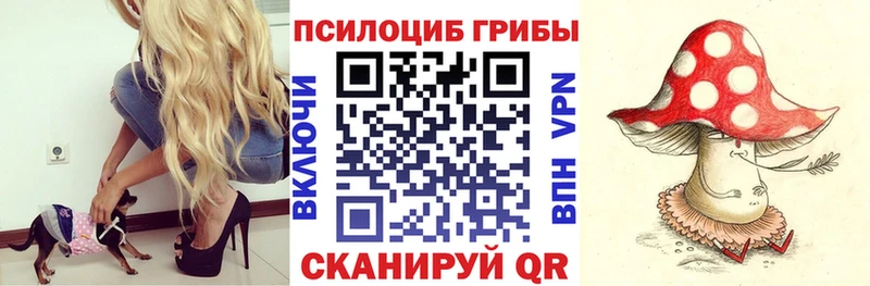 цены наркотик  Ирбит  shop клад  Псилоцибиновые грибы Magic Shrooms 